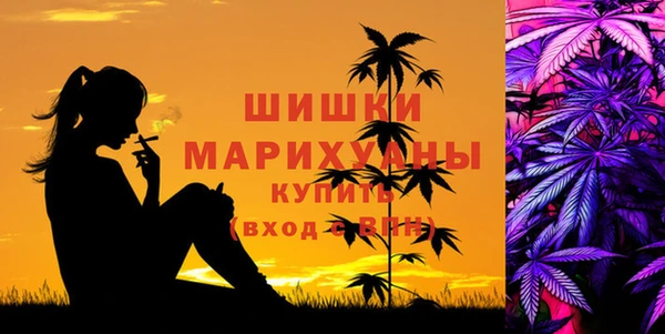 ГАЛЛЮЦИНОГЕННЫЕ ГРИБЫ Арсеньев