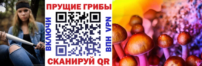 Псилоцибиновые грибы прущие грибы  гидра онион  Стародуб 