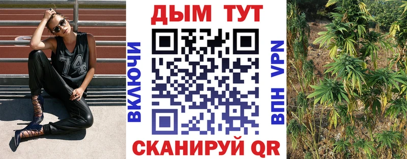 где купить наркоту  Стародуб  Бошки марихуана сатива 